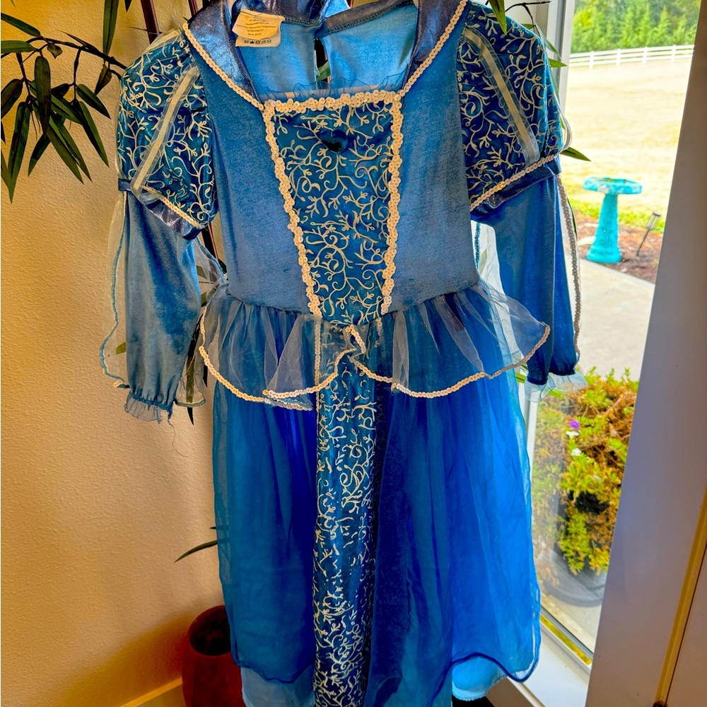 Blue Princess Costume for Kids